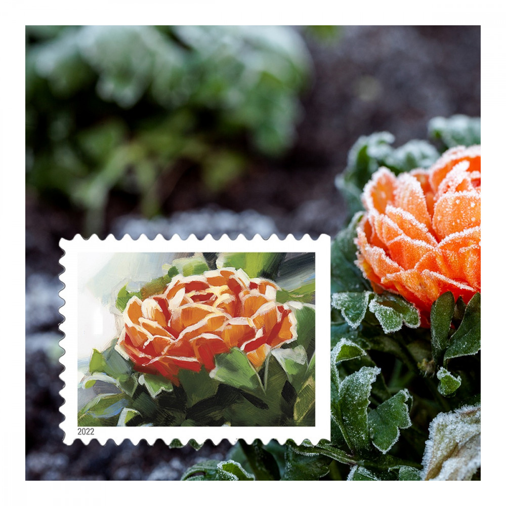 2022 USPS Snowy Garden Beauty Forever Postage Stamps