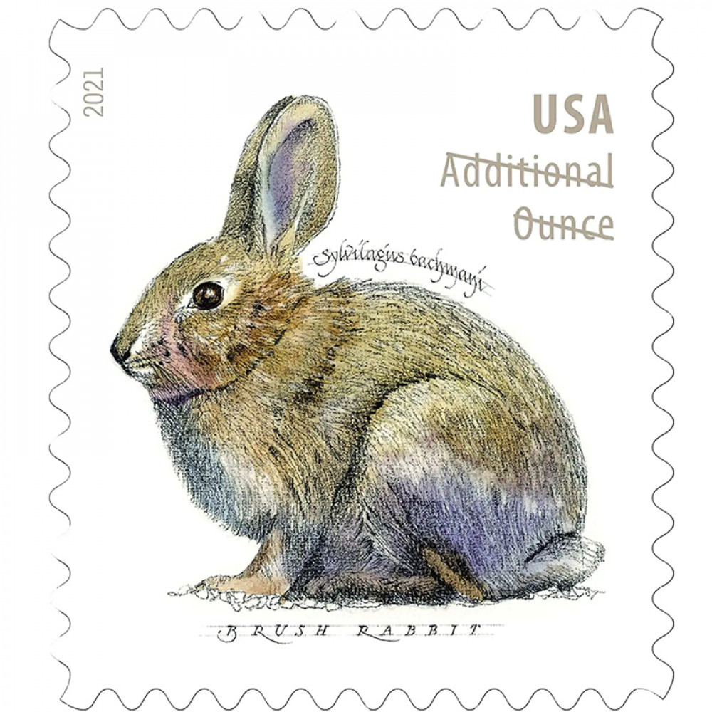 2021 Brush Rabbit Additional Ounce Forever Postage Stamps